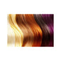 Igora Vibrance Update 01/24