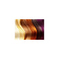 Igora Vibrance Update 03/25